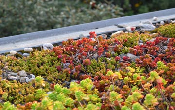 the cost of Mansergh green roof installation