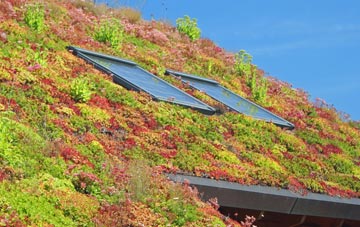Mansergh living roof systems