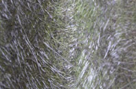 Mansergh fibreglass roof work